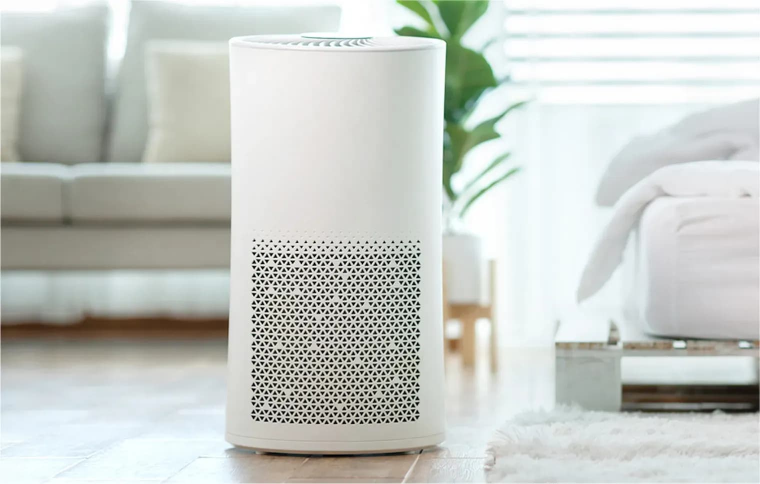 A portable air purifier that can use HEPA filters and UV light to capture many bacteria and viruses in the air