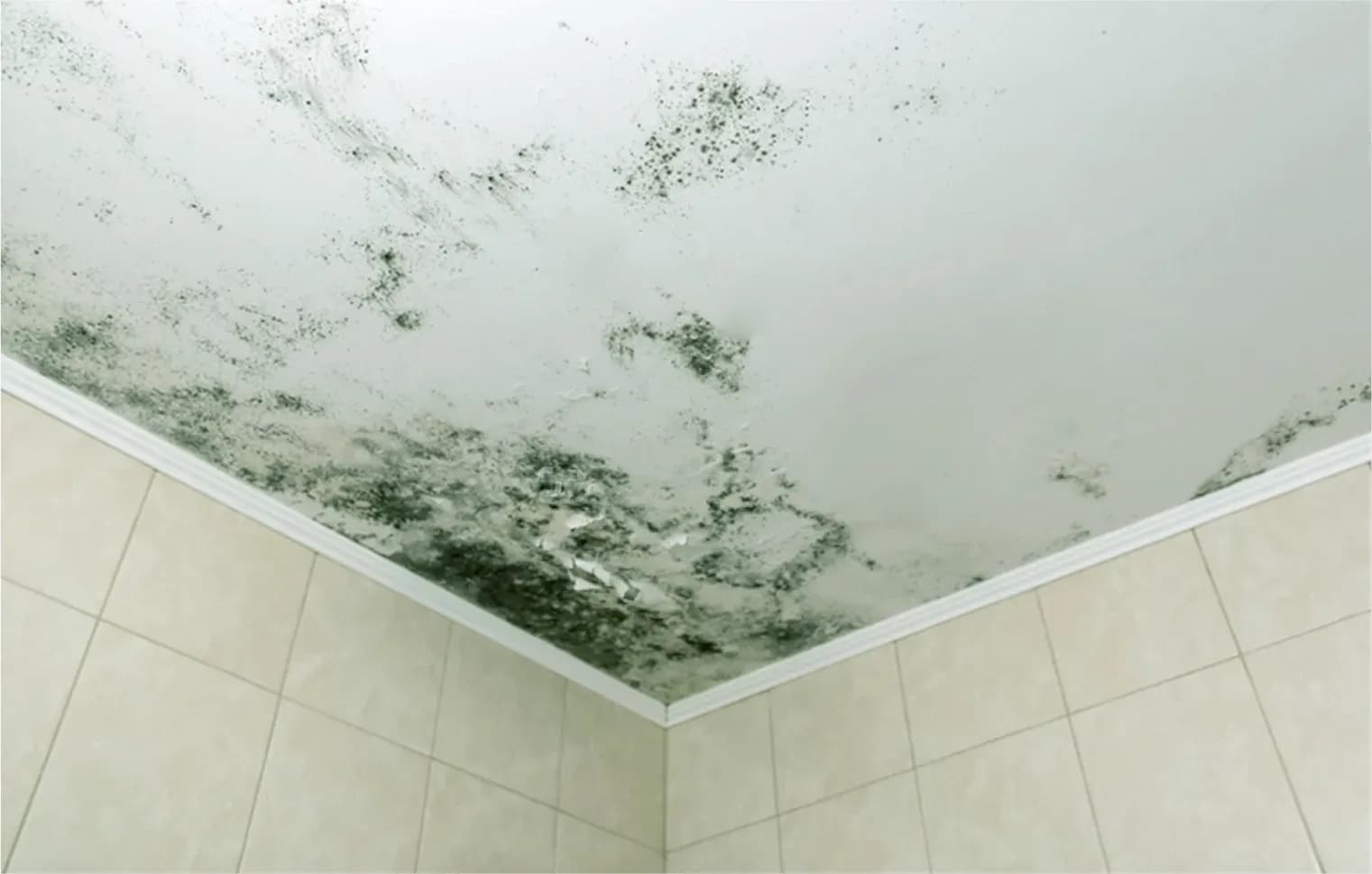 Mold and bacteria multiplying on a ceiling at home